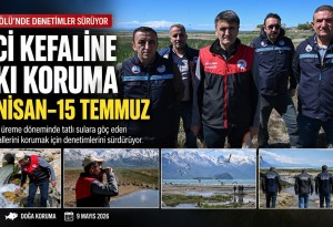 Van'da göç yolundaki inci kefali için denetimler sıklaştırıldı