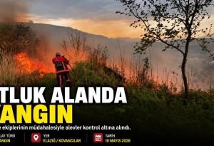 Elazığ'da otluk alanda çıkan yangın çevreye sıçramadan söndürüldü