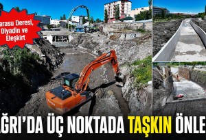 Ağrı Merkez, Diyadin ve Eleşkirt'te DSİ Taşkın Kontrol Çalışmaları Sürüyor