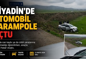 Diyadin'de kontrolden çıkan otomobil şarampole uçtu
