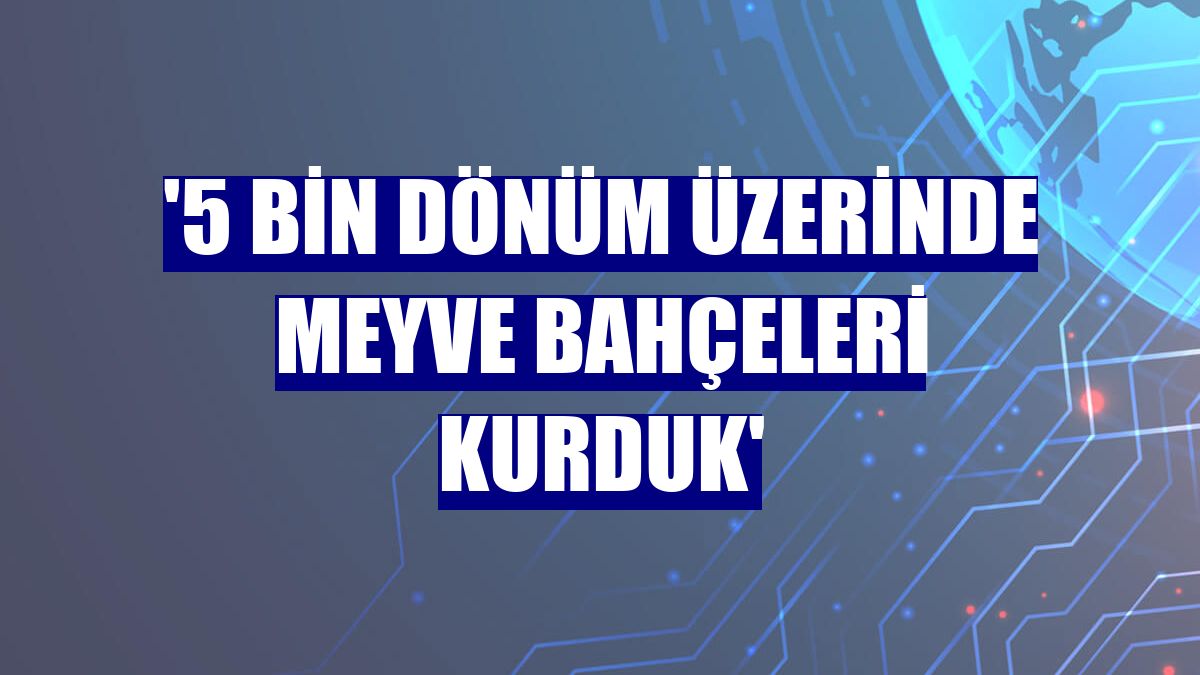 '5 bin dönüm üzerinde meyve bahçeleri kurduk'