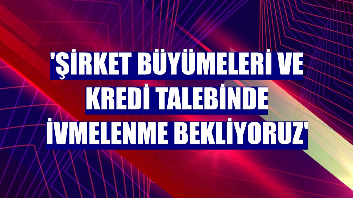 'Şirket büyümeleri ve kredi talebinde ivmelenme bekliyoruz'