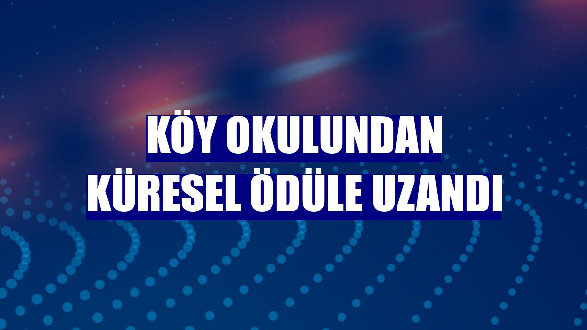 Köy okulundan küresel ödüle uzandı