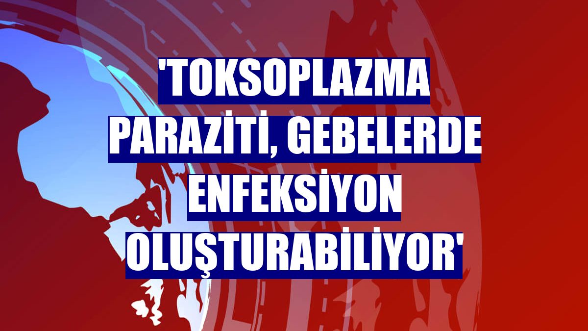 'Toksoplazma paraziti, gebelerde enfeksiyon oluşturabiliyor'