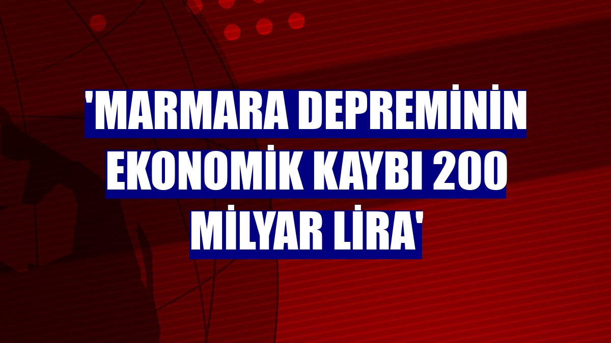 'Marmara depreminin ekonomik kaybı 200 milyar lira'