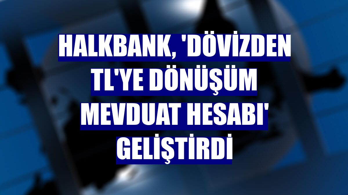 Halkbank, 'Dövizden TL'ye Dönüşüm Mevduat Hesabı' geliştirdi