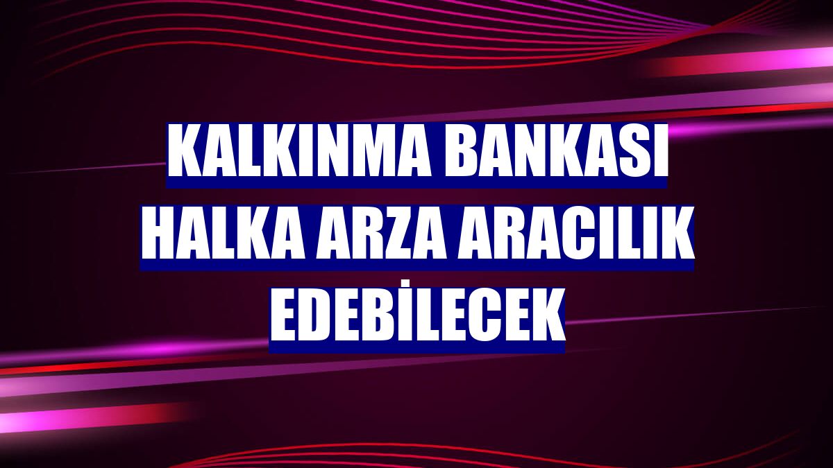 Kalkınma Bankası halka arza aracılık edebilecek