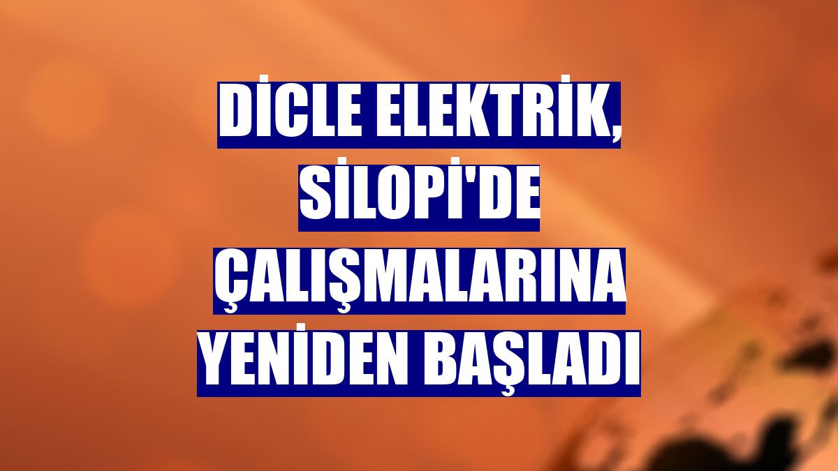 Dicle Elektrik, Silopi'de çalışmalarına yeniden başladı