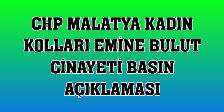 CHP Malatya Kadın Kolları Emine Bulut cinayeti basın açıklaması