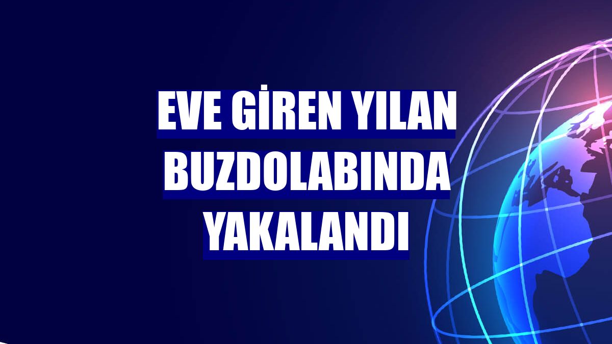 Eve giren yılan buzdolabında yakalandı