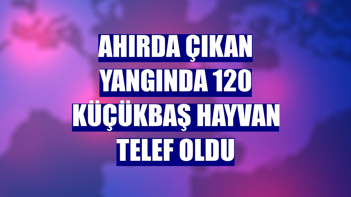 Ahırda çıkan yangında 120 küçükbaş hayvan telef oldu