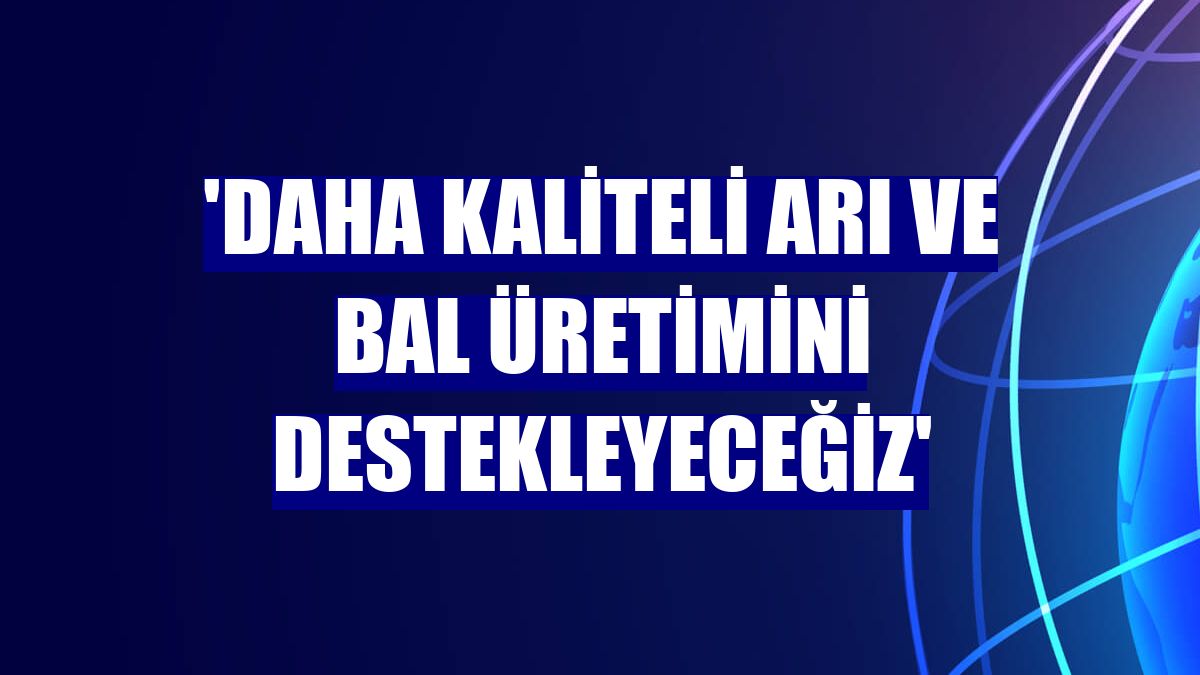'Daha kaliteli arı ve bal üretimini destekleyeceğiz'
