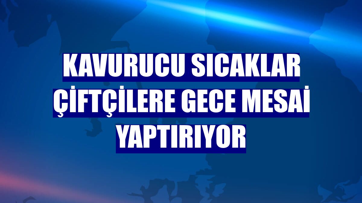 Kavurucu sıcaklar çiftçilere gece mesai yaptırıyor