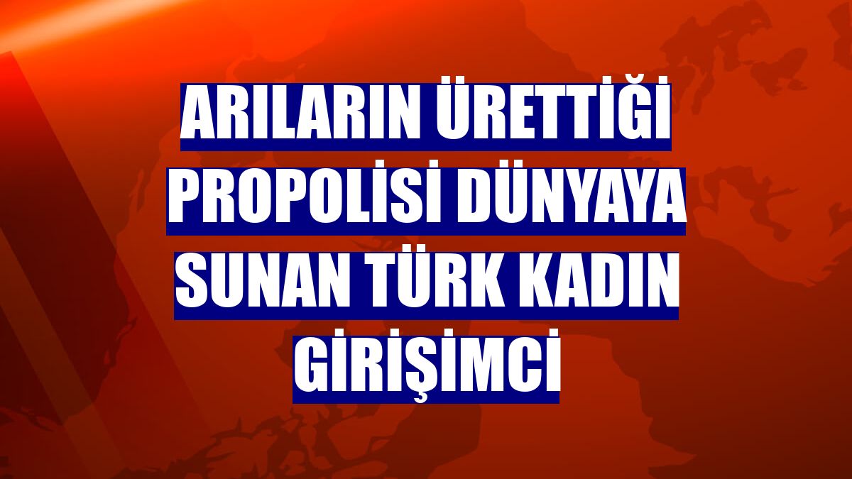 Arıların ürettiği propolisi dünyaya sunan Türk kadın girişimci