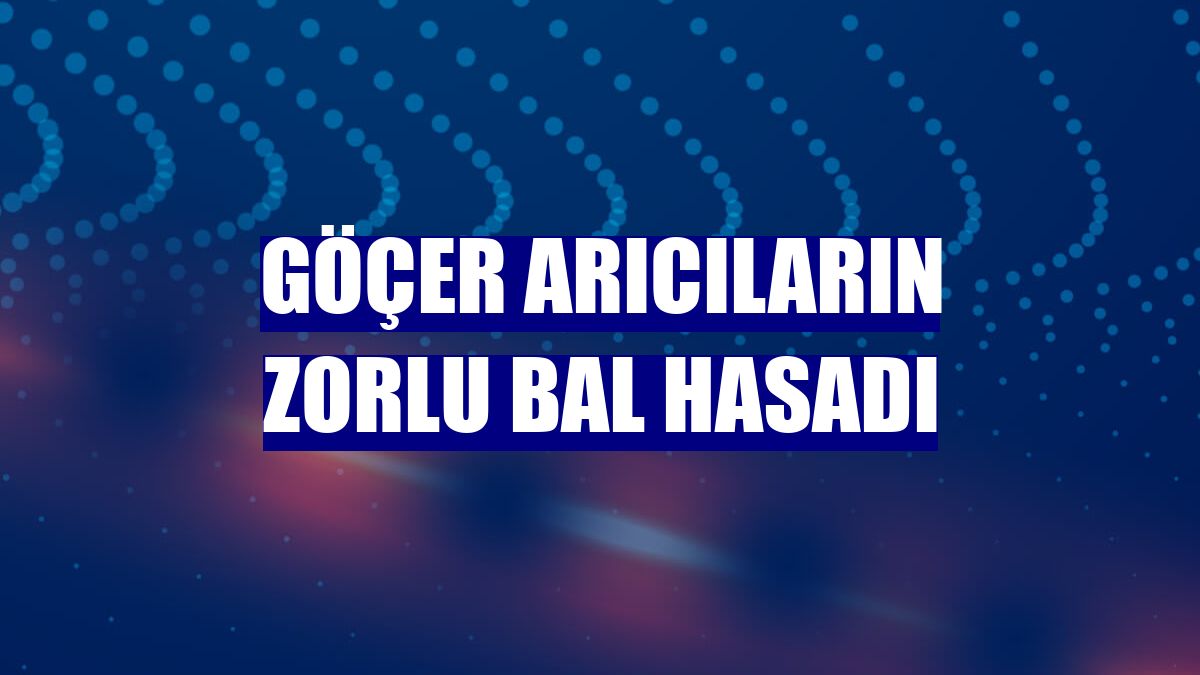 Göçer arıcıların zorlu bal hasadı