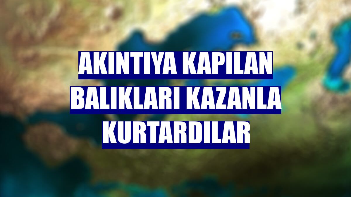 Akıntıya kapılan balıkları kazanla kurtardılar