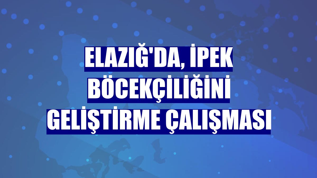 Elazığ'da, ipek böcekçiliğini geliştirme çalışması