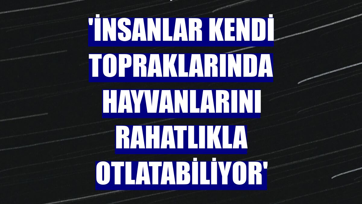 'İnsanlar kendi topraklarında hayvanlarını rahatlıkla otlatabiliyor'