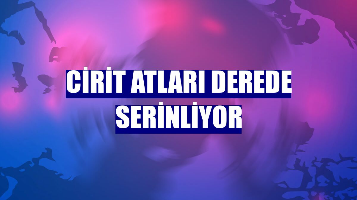 Cirit atları derede serinliyor