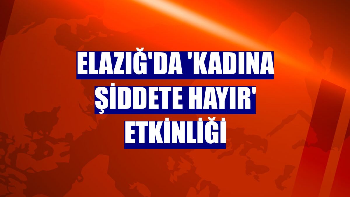 Elazığ'da 'kadına şiddete hayır' etkinliği