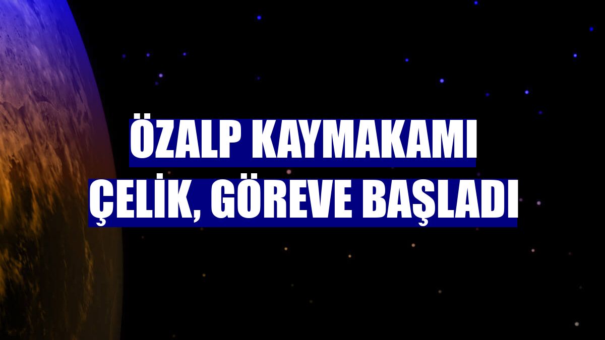 Özalp Kaymakamı Çelik, göreve başladı