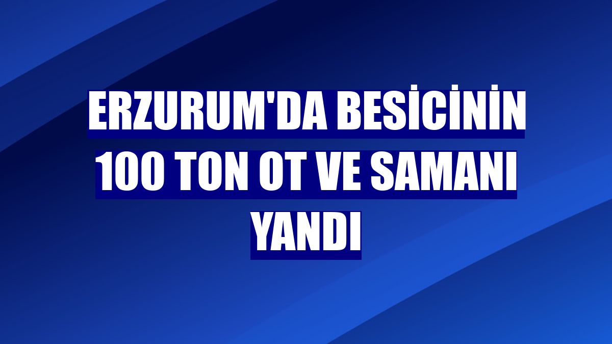 Erzurum'da besicinin 100 ton ot ve samanı yandı