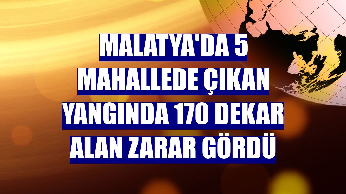Malatya'da 5 mahallede çıkan yangında 170 dekar alan zarar gördü