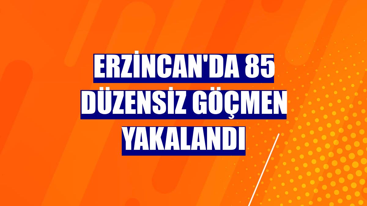 Erzincan'da 85 düzensiz göçmen yakalandı