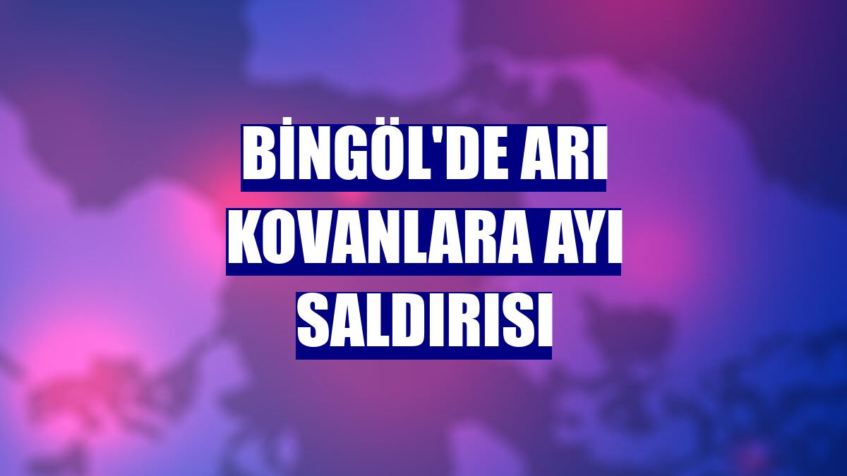 Bingöl'de arı kovanlara ayı saldırısı