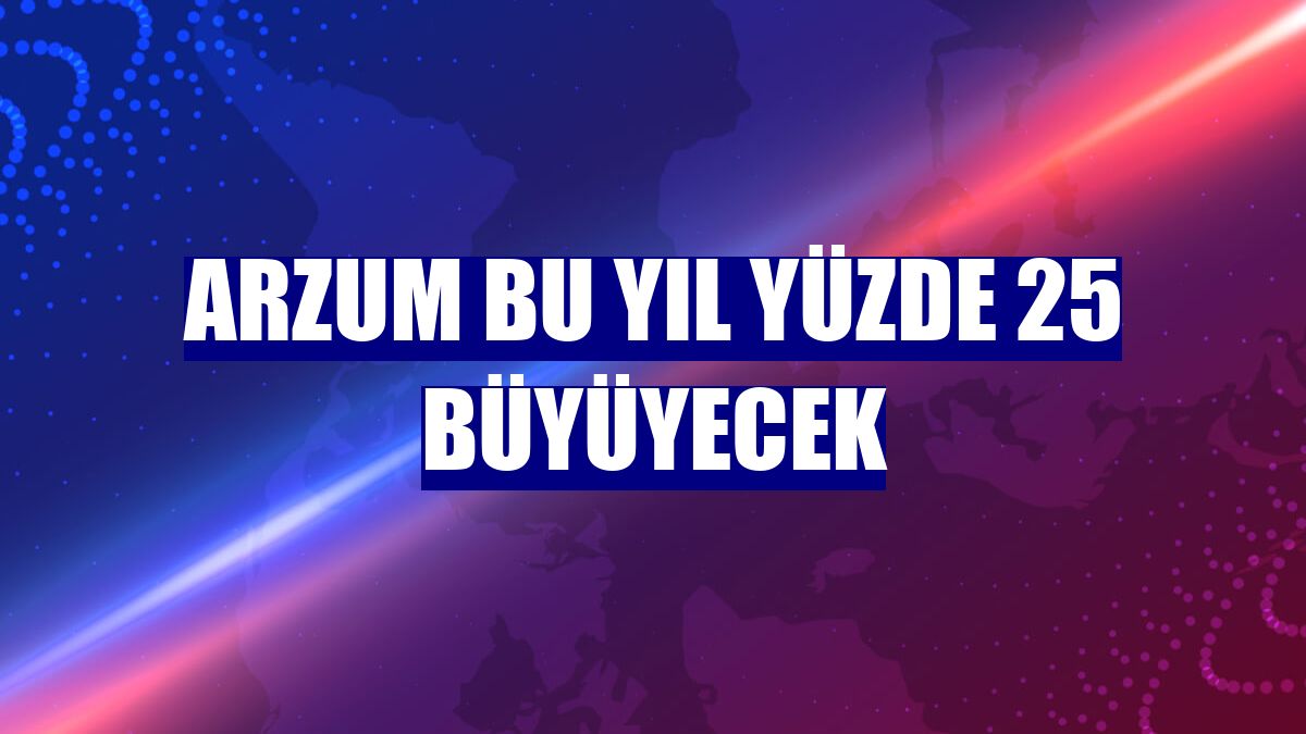 Arzum bu yıl yüzde 25 büyüyecek