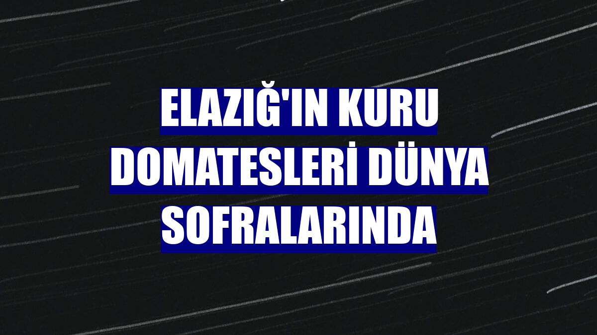 Elazığ'ın kuru domatesleri dünya sofralarında