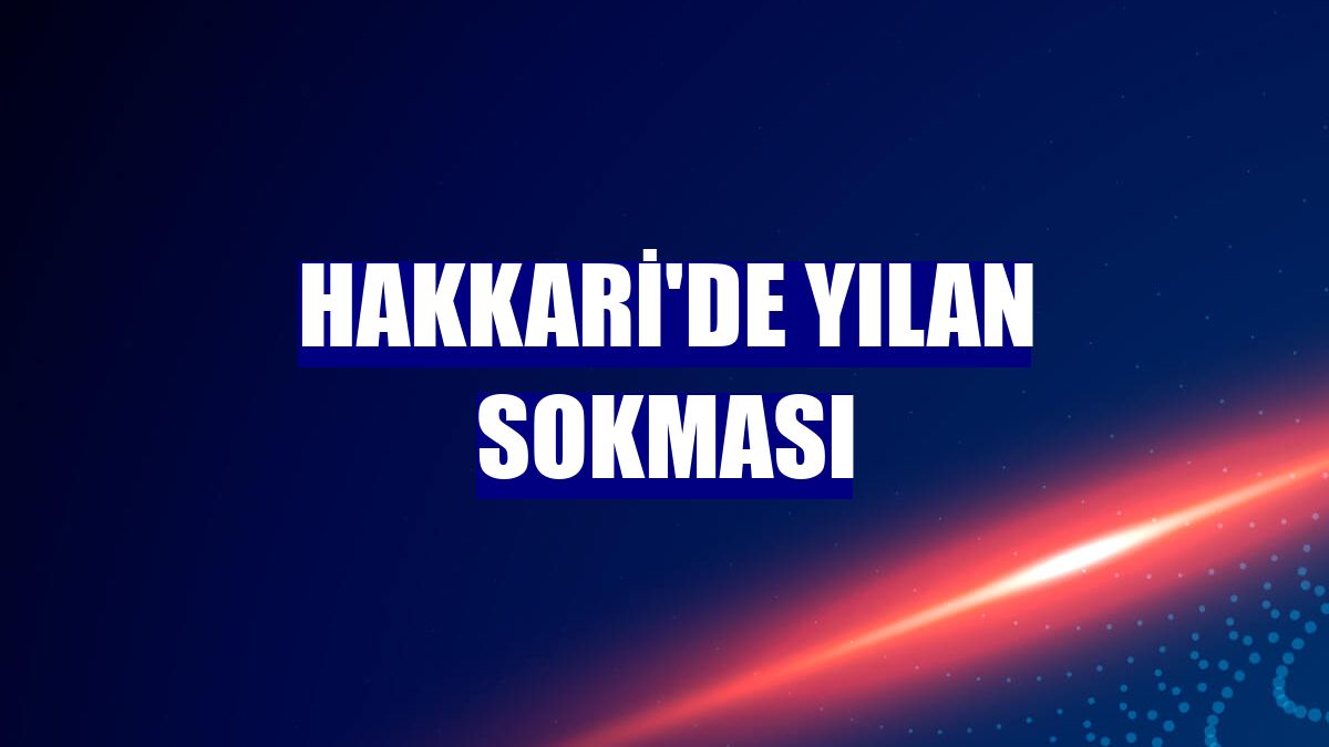Hakkari'de yılan sokması