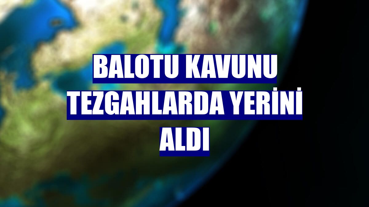 Balotu kavunu tezgahlarda yerini aldı