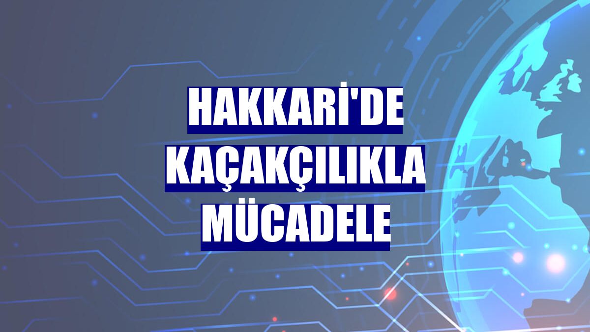 Hakkari'de kaçakçılıkla mücadele