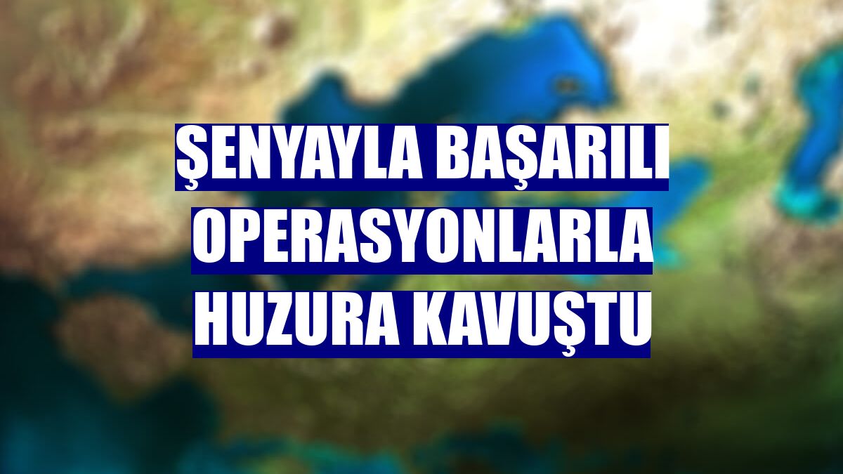 Şenyayla başarılı operasyonlarla huzura kavuştu
