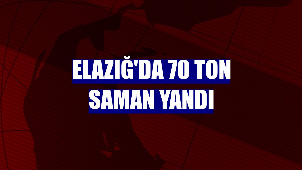 Elazığ'da 70 ton saman yandı