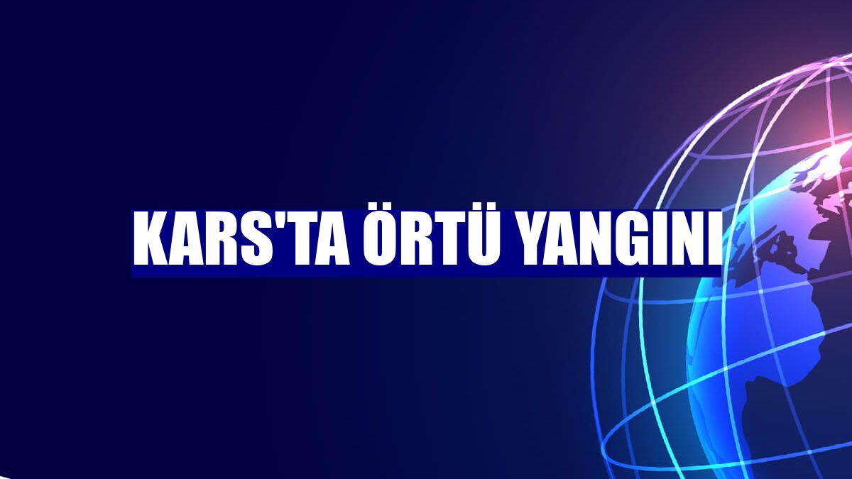 Kars'ta örtü yangını
