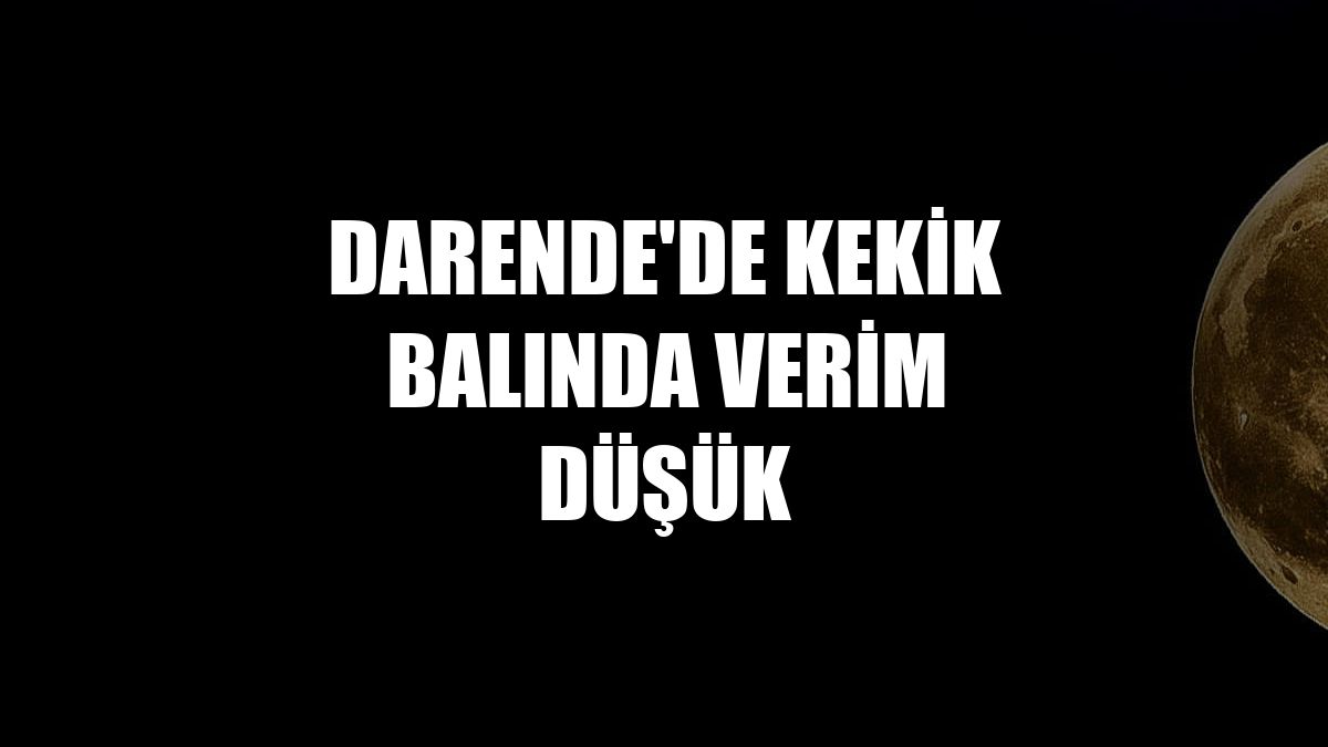 Darende'de kekik balında verim düşük