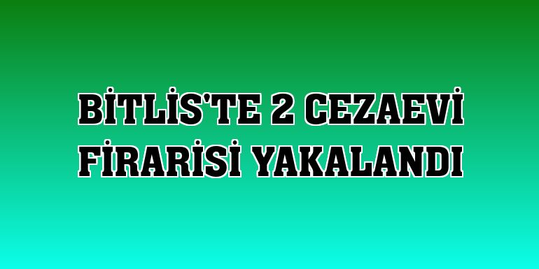Bitlis'te 2 cezaevi firarisi yakalandı