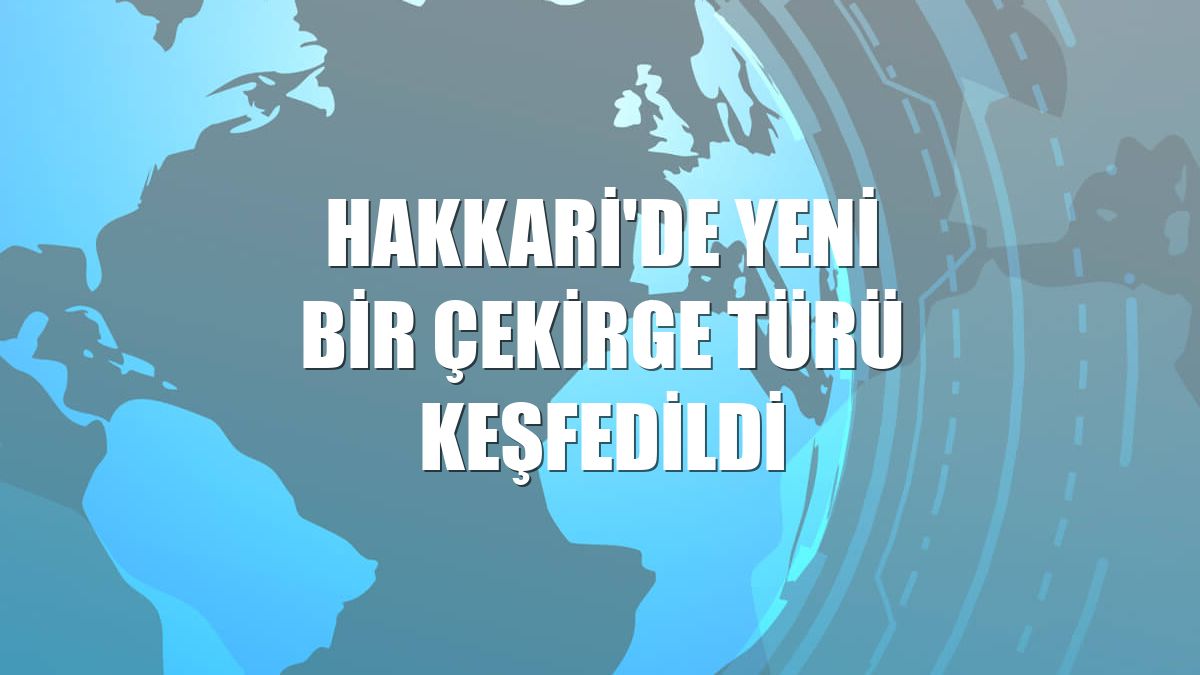Hakkari'de yeni bir çekirge türü keşfedildi