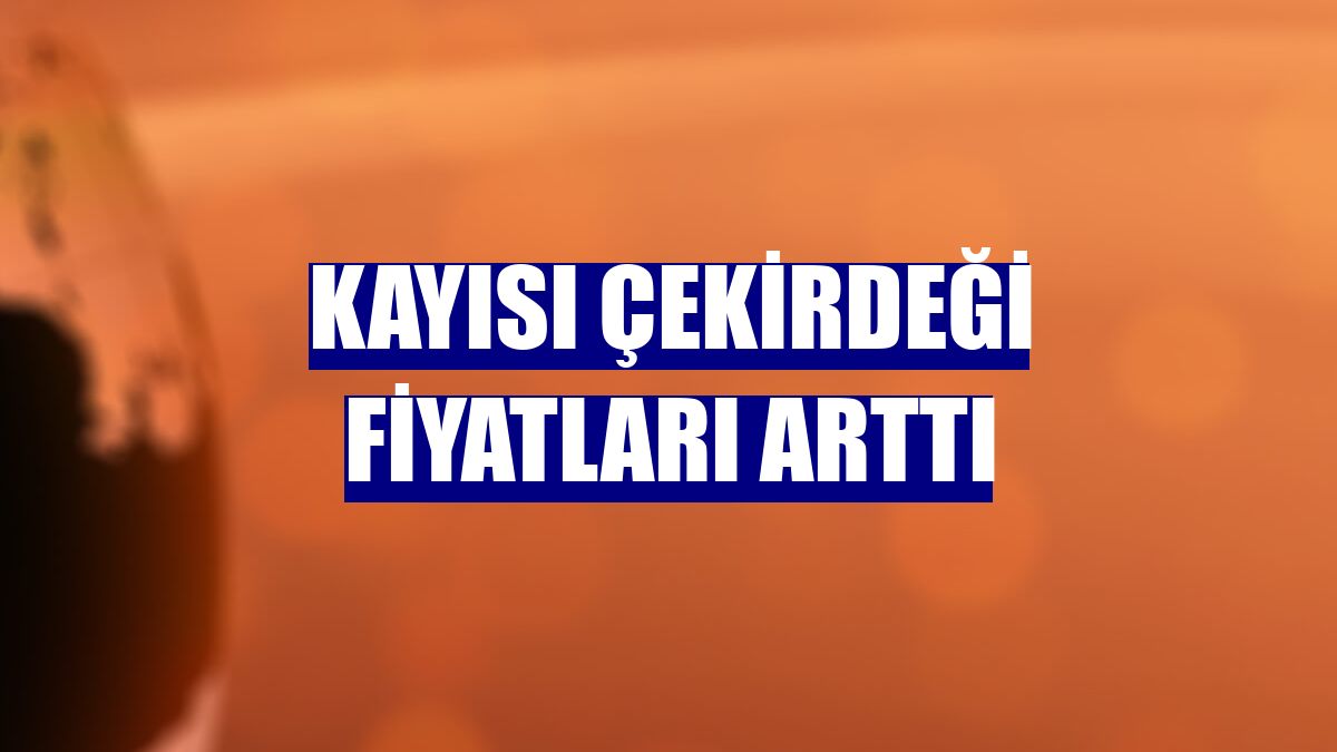 Kayısı çekirdeği fiyatları arttı