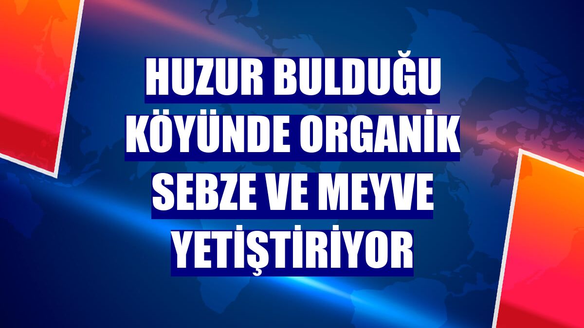 Huzur bulduğu köyünde organik sebze ve meyve yetiştiriyor