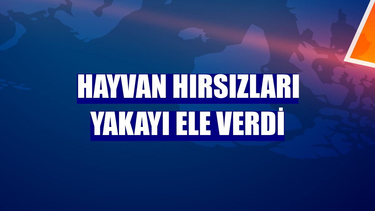 Hayvan hırsızları yakayı ele verdi