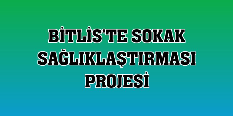 Bitlis'te Sokak Sağlıklaştırması projesi