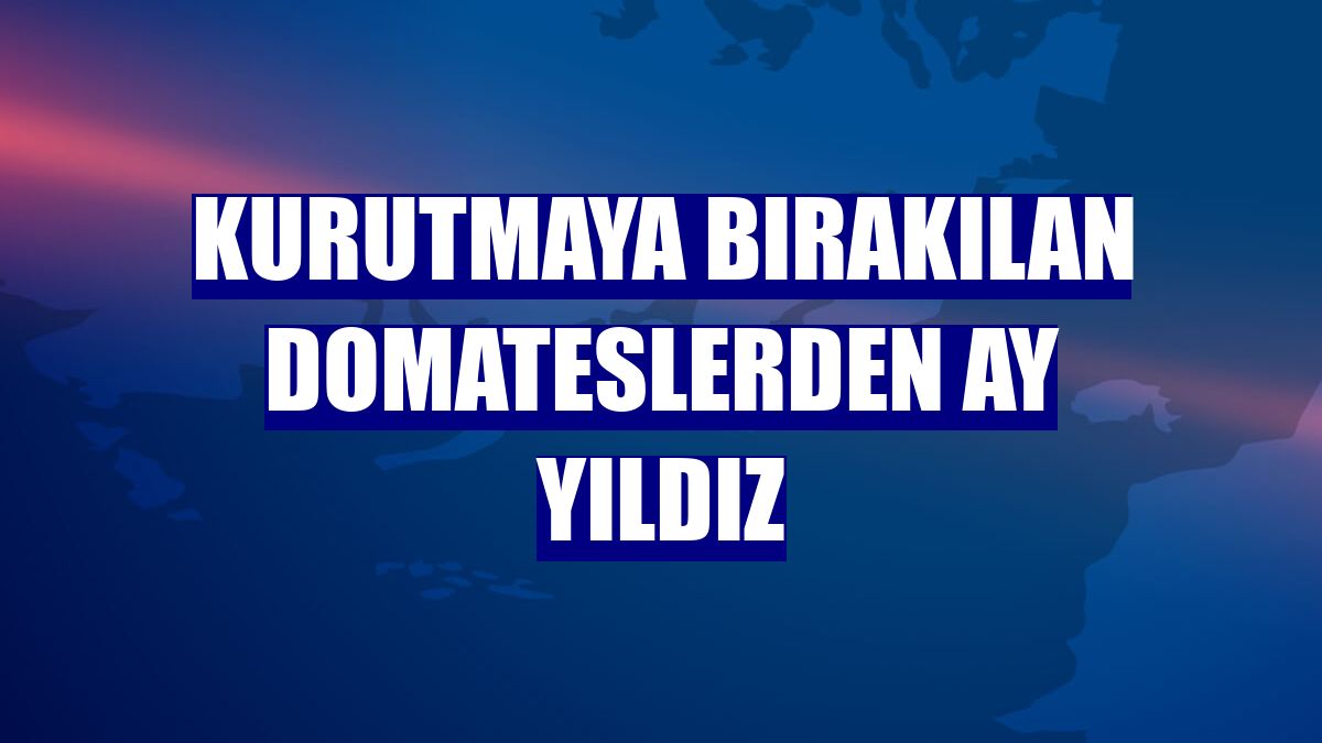 Kurutmaya bırakılan domateslerden ay yıldız