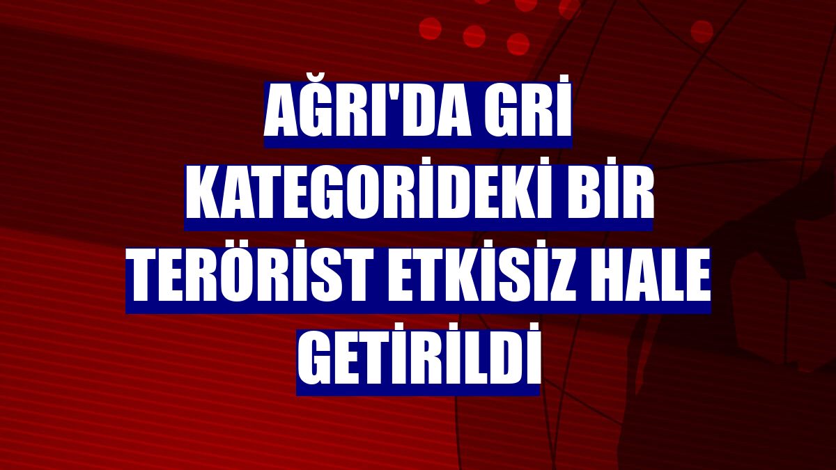 Ağrı'da gri kategorideki bir terörist etkisiz hale getirildi