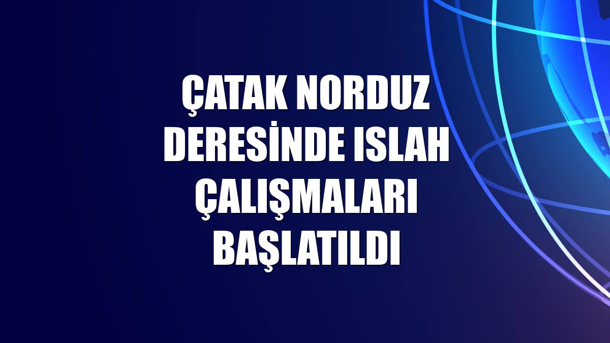 Çatak Norduz Deresinde ıslah çalışmaları başlatıldı
