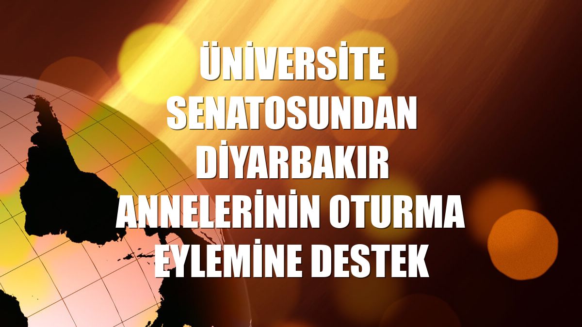 Üniversite senatosundan Diyarbakır annelerinin oturma eylemine destek