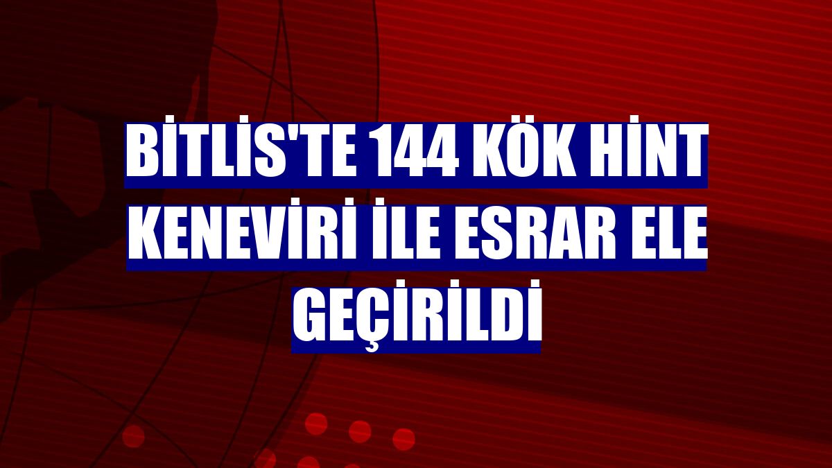 Bitlis'te 144 kök Hint keneviri ile esrar ele geçirildi