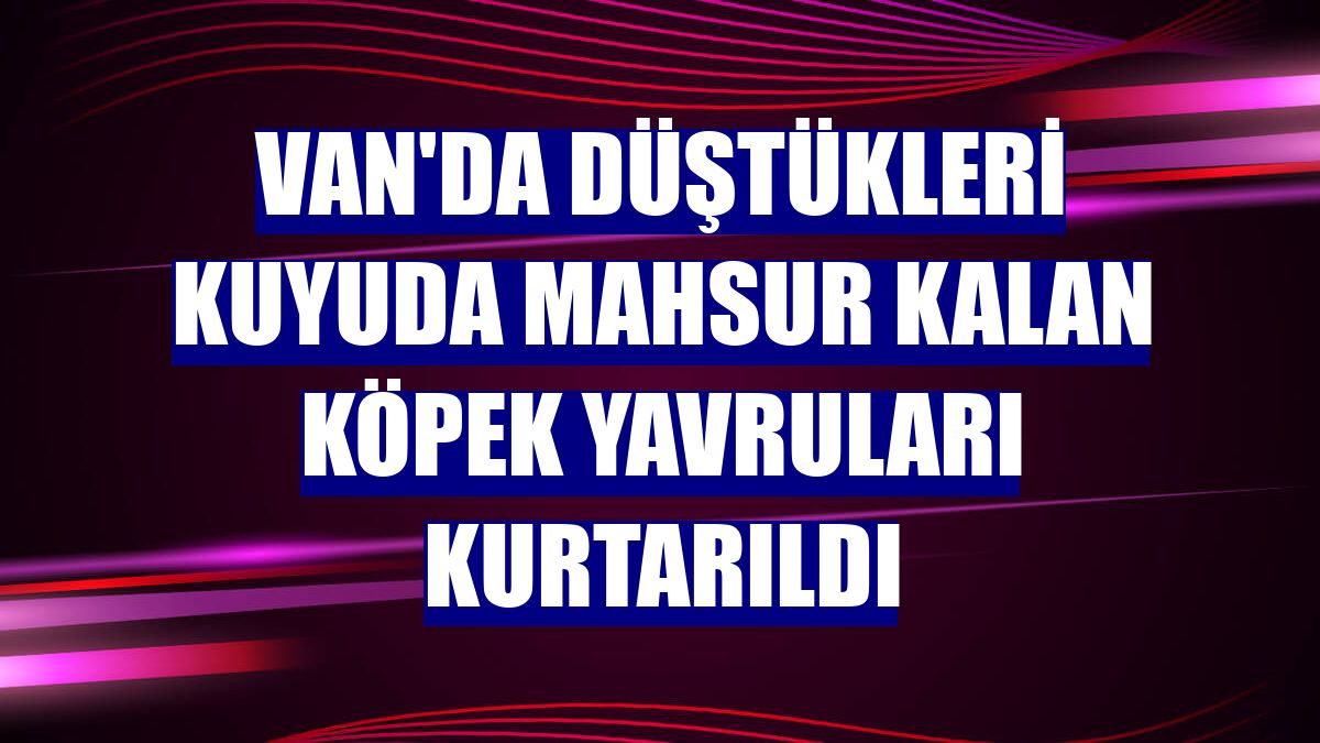 Van'da düştükleri kuyuda mahsur kalan köpek yavruları kurtarıldı